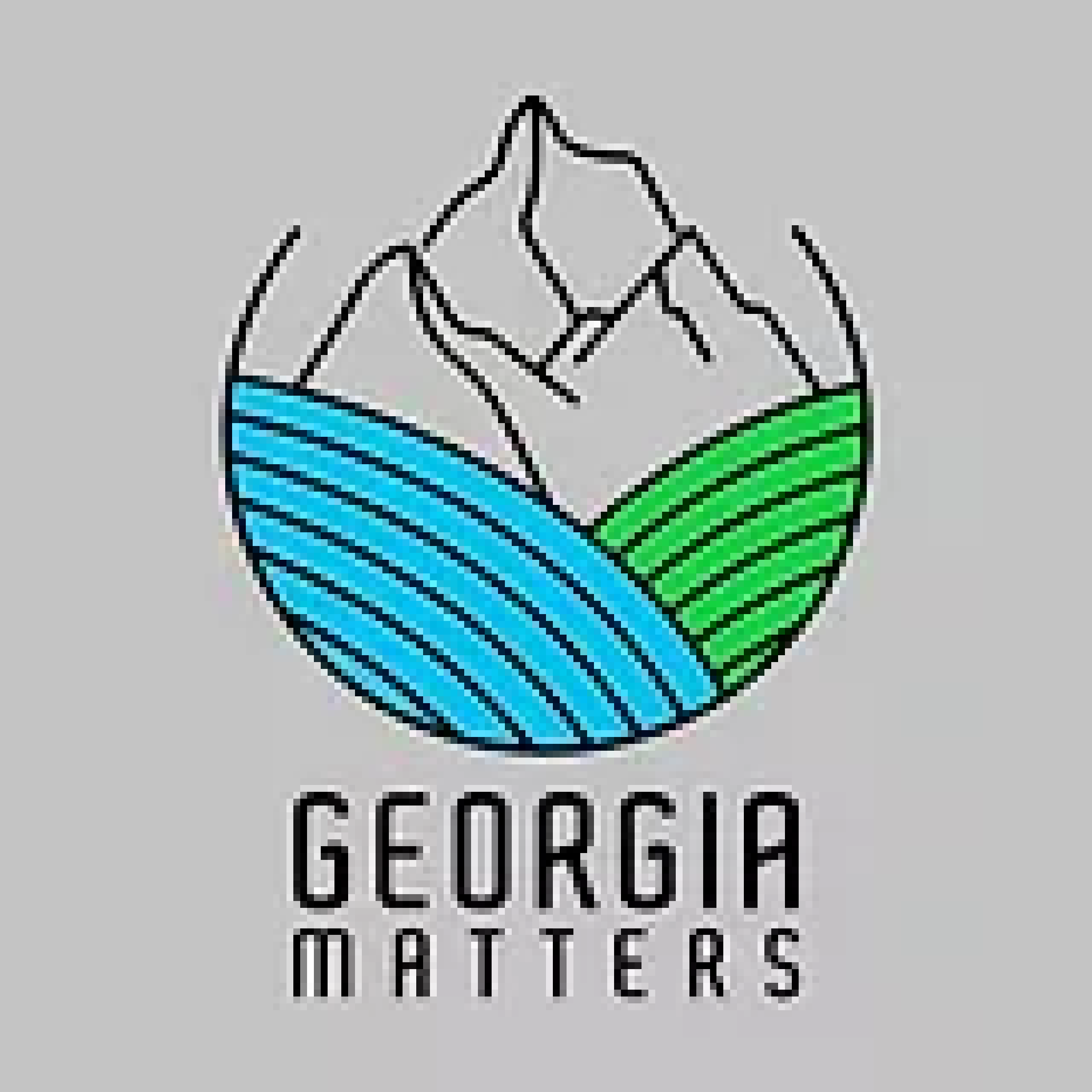 Georgia Matters, LLC